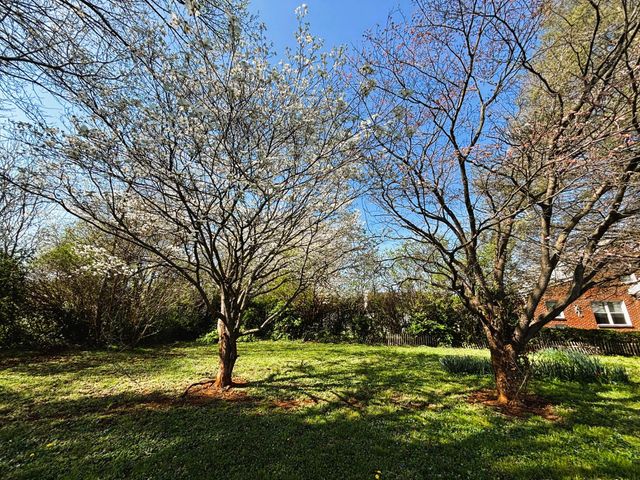 902 Whitney AVE, Roanoke, VA 24012