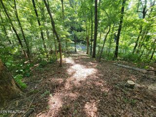 6224 Get Good Hollow Rd, Loudon, TN 37774