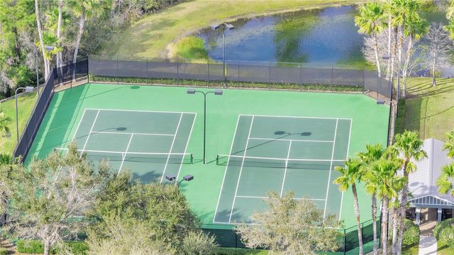 2741 WILD TAMARIND BOULEVARD, Orlando, FL 32828