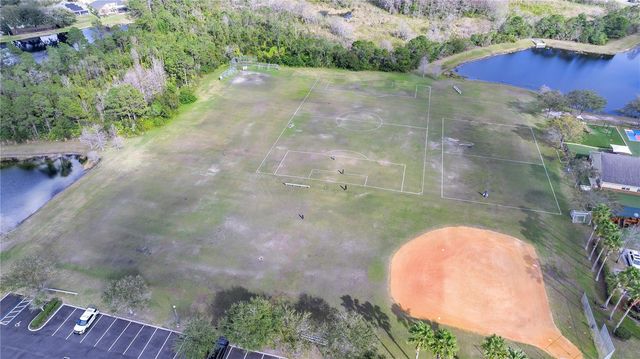 2741 WILD TAMARIND BOULEVARD, Orlando, FL 32828