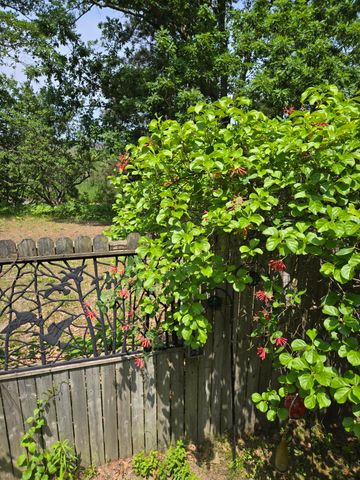 1384 Olson Road, Manistee Twp, MI 49660