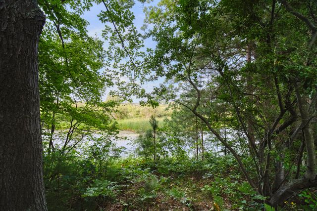 1384 Olson Road, Manistee Twp, MI 49660