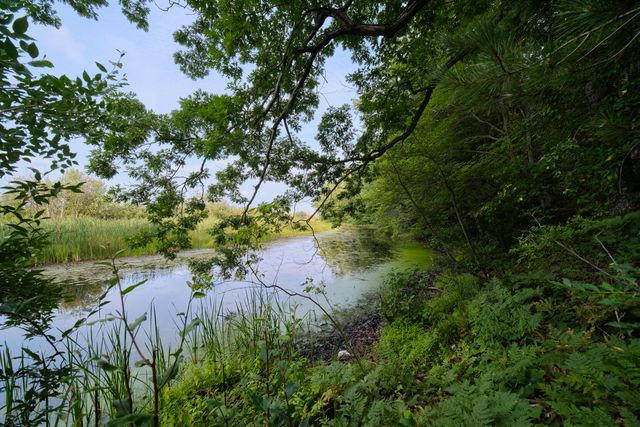 1384 Olson Road, Manistee Twp, MI 49660