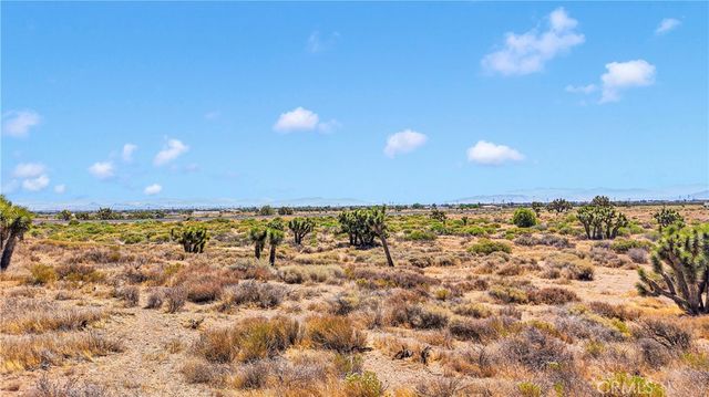 0 Beaver Avenue, Phelan, CA 92371