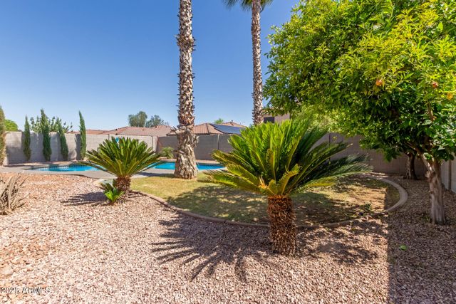 3219 W Molly Lane, Phoenix, AZ 85085
