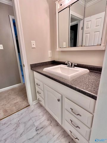 480 Mountain Oak Trail, Somerville, AL 35670