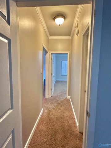 480 Mountain Oak Trail, Somerville, AL 35670