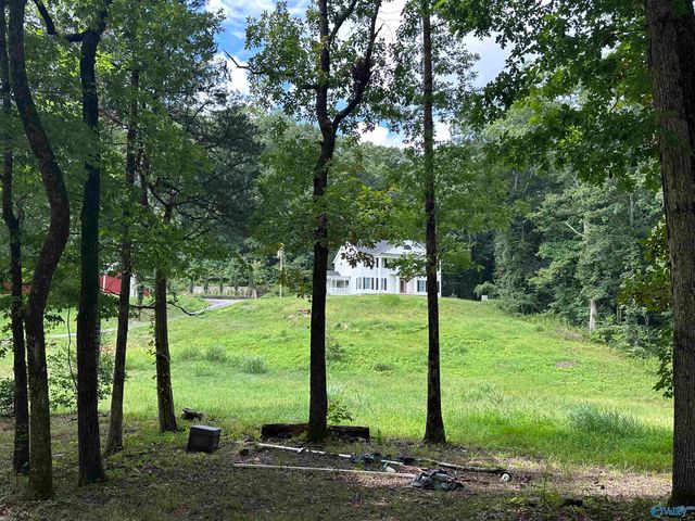 480 Mountain Oak Trail, Somerville, AL 35670