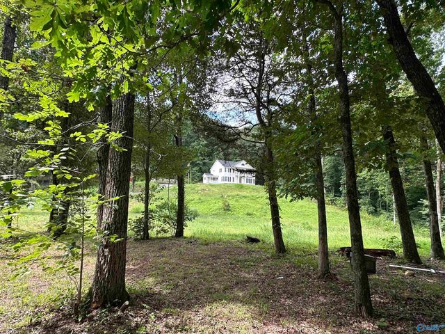 480 Mountain Oak Trail, Somerville, AL 35670