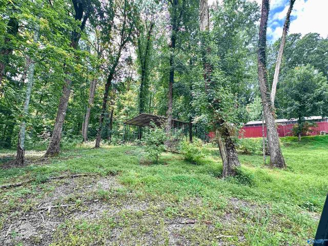 480 Mountain Oak Trail, Somerville, AL 35670