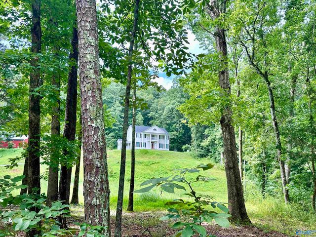 480 Mountain Oak Trail, Somerville, AL 35670