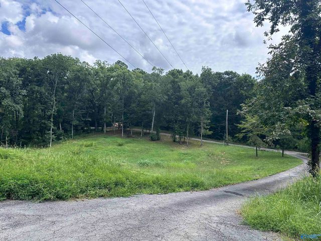 480 Mountain Oak Trail, Somerville, AL 35670