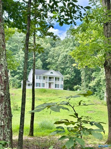 480 Mountain Oak Trail, Somerville, AL 35670