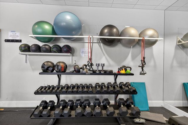 719 MISTY POND COURT, Bradenton, FL 34212