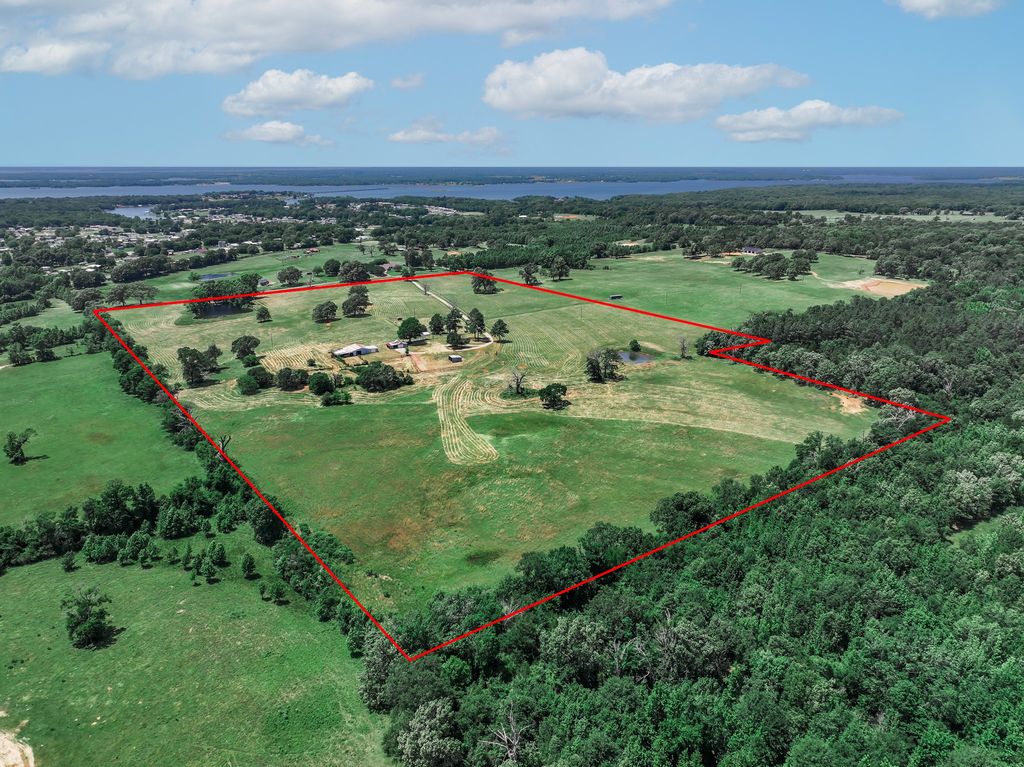 1273 County Road 1236, Quitman, TX 75783