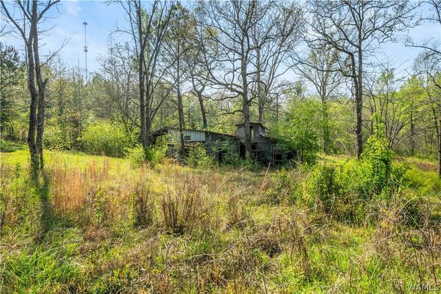 4406 University Way, Centreville, AL 35402