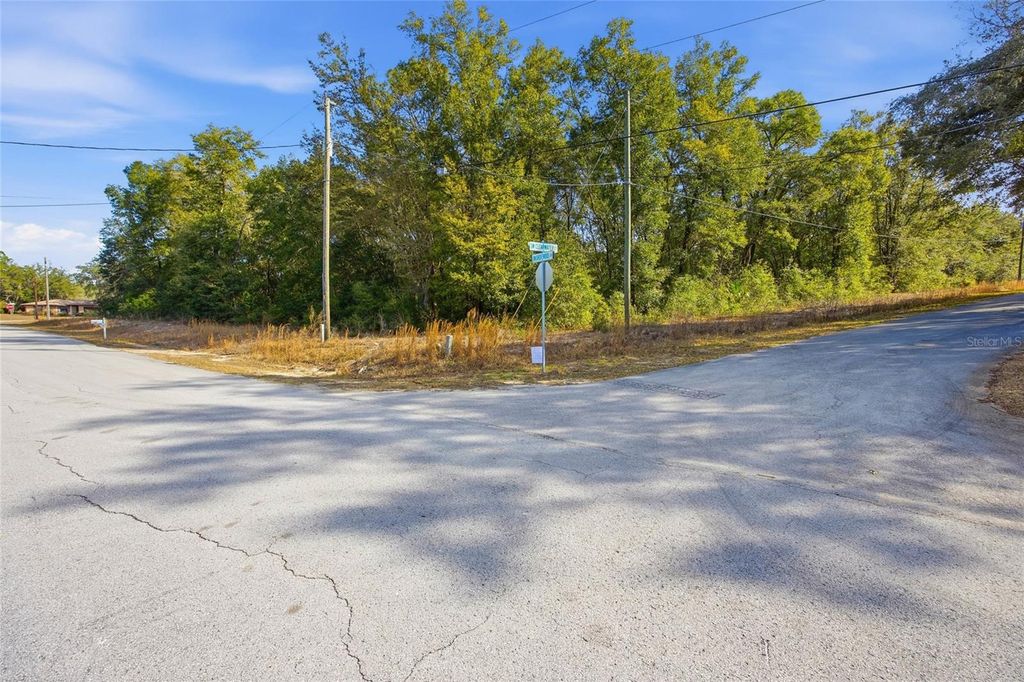 Image 3 of property listing at Lot 163 SW SHOREWOOD DRIVE, Dunnellon, FL 34431