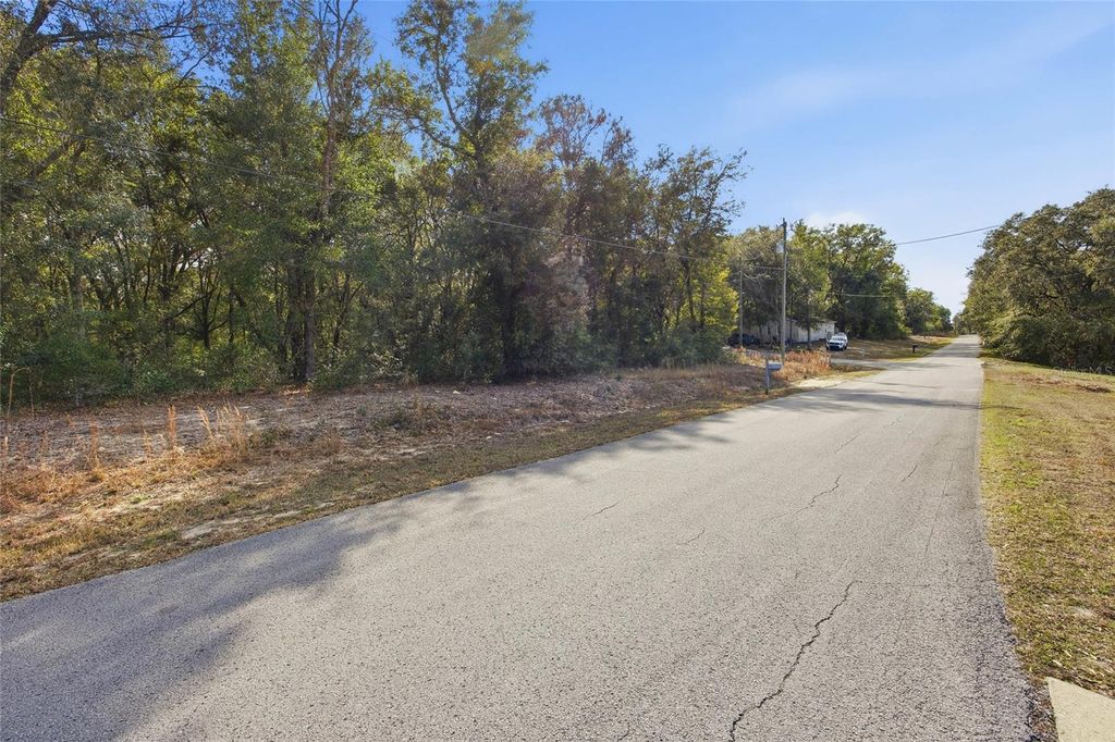 Image 4 of property listing at Lot 163 SW SHOREWOOD DRIVE, Dunnellon, FL 34431