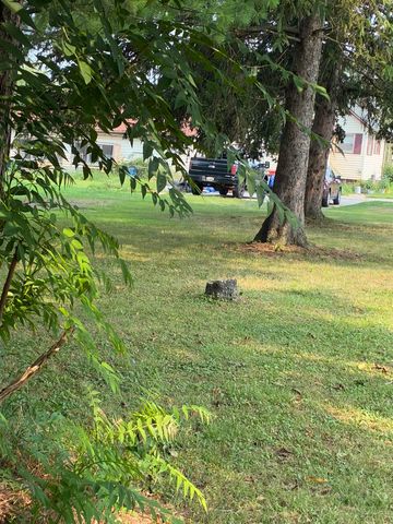 1510 S Chipman Street, Owosso Twp, MI 48867