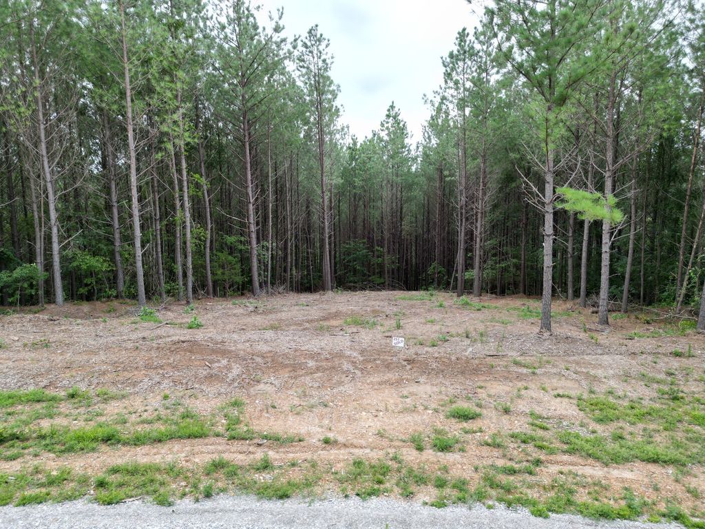 297 Ashwood Dr, Linden, TN 37096