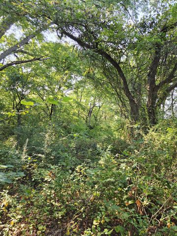 347 Copper Branch Road, Whitesboro, TX 76273