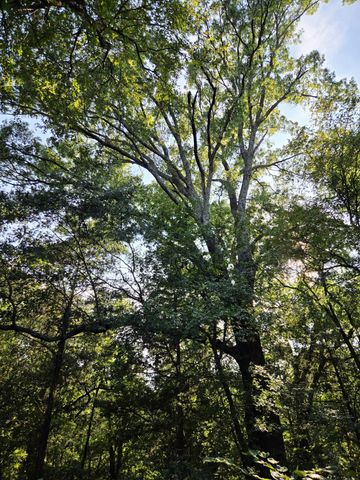 347 Copper Branch Road, Whitesboro, TX 76273