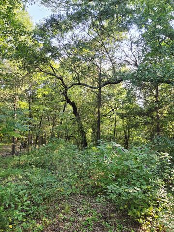 347 Copper Branch Road, Whitesboro, TX 76273