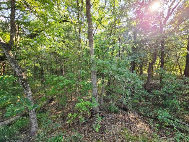 347 Copper Branch Road, Whitesboro, TX 76273