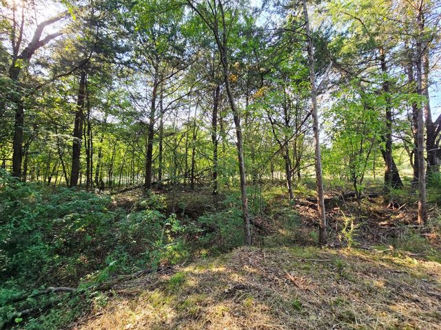 347 Copper Branch Road, Whitesboro, TX 76273