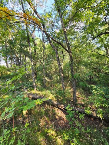 347 Copper Branch Road, Whitesboro, TX 76273