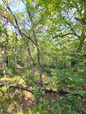 347 Copper Branch Road, Whitesboro, TX 76273