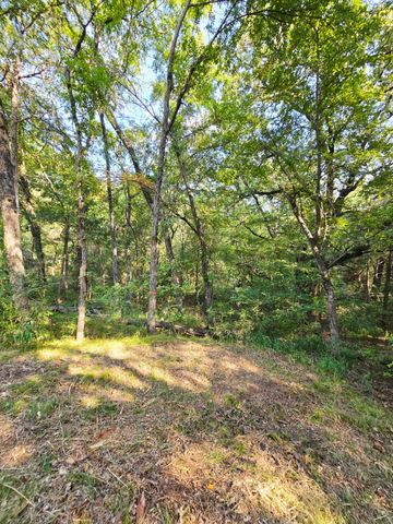 347 Copper Branch Road, Whitesboro, TX 76273