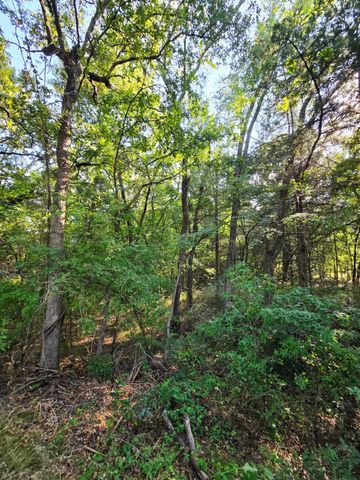 347 Copper Branch Road, Whitesboro, TX 76273