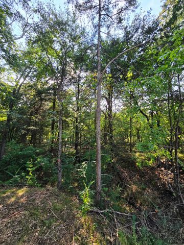 347 Copper Branch Road, Whitesboro, TX 76273