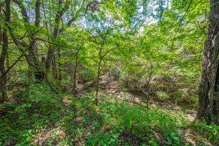 347 Copper Branch Road, Whitesboro, TX 76273