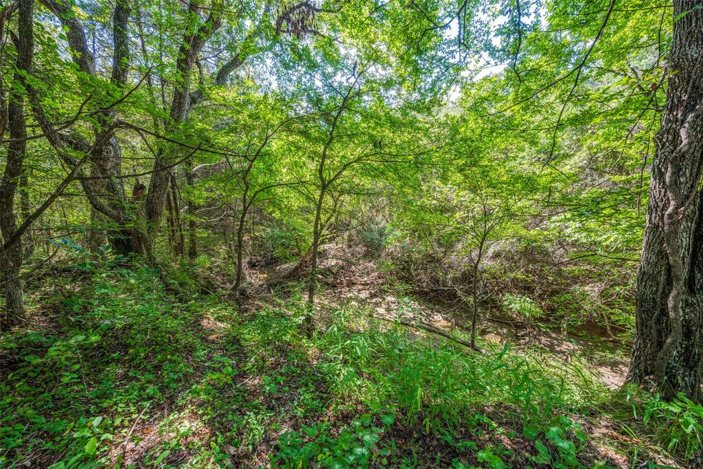 347 Copper Branch Road, Whitesboro, TX 76273