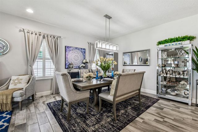 12826 SATIN LILY DRIVE, Riverview, FL 33579