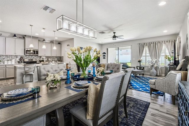 12826 SATIN LILY DRIVE, Riverview, FL 33579