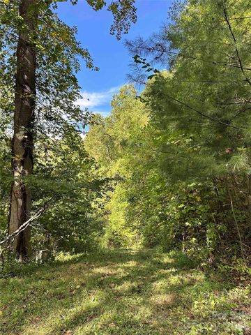 94 Locust Grove Lane, Weaverville, NC 28787