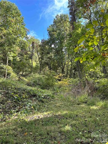 94 Locust Grove Lane, Weaverville, NC 28787