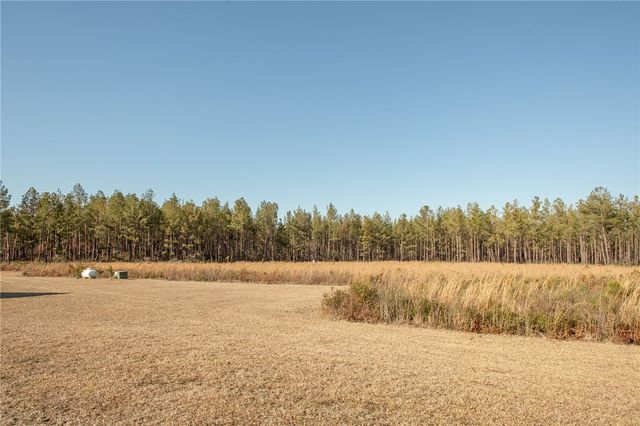 7291 Grey Hawk Road, Manor, GA 31550