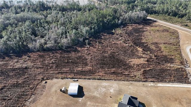 7291 Grey Hawk Road, Manor, GA 31550