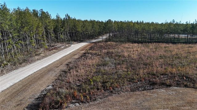 7291 Grey Hawk Road, Manor, GA 31550