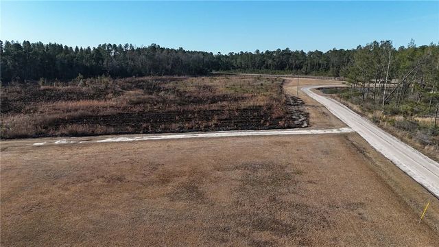 7291 Grey Hawk Road, Manor, GA 31550