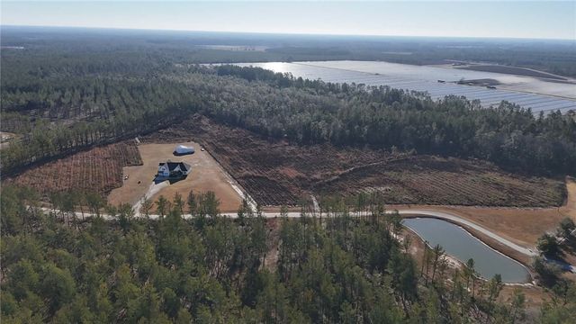 7291 Grey Hawk Road, Manor, GA 31550