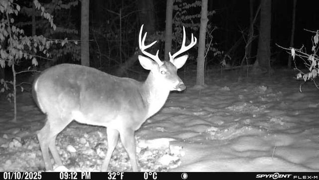 240 Scenic Ct, Pulaski, TN 38478