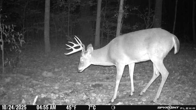 240 Scenic Ct, Pulaski, TN 38478