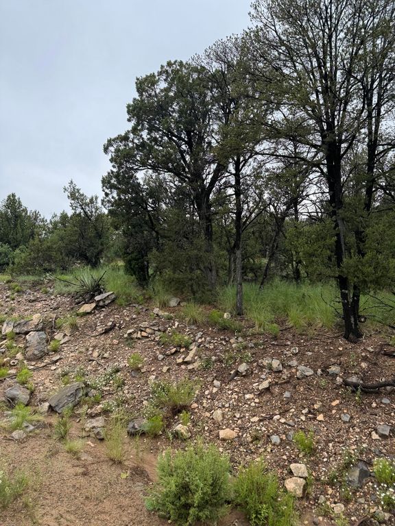 Subd:Bella Vista Lot:FBlock:45, Edgewood, NM 87015
