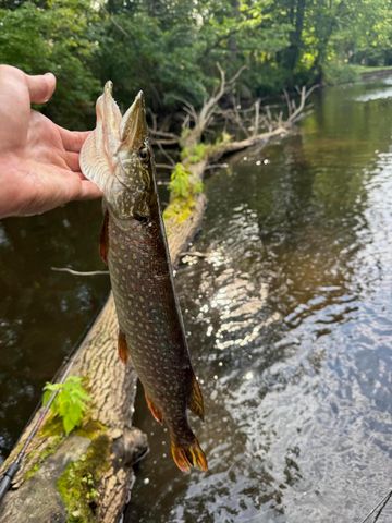 3944 S Brenlor Drive, Hesperia Vlg, MI 49421