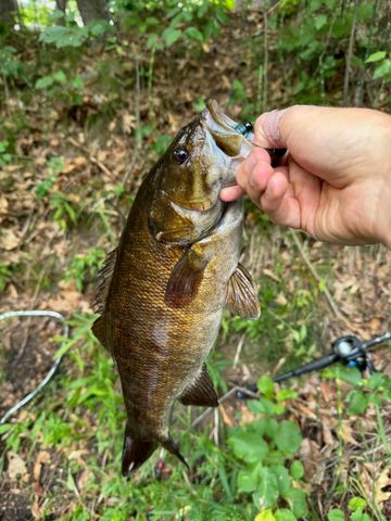 3944 S Brenlor Drive, Hesperia Vlg, MI 49421